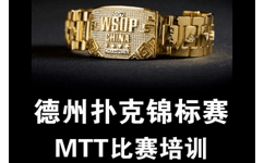 德州扑克锦标赛培训视频